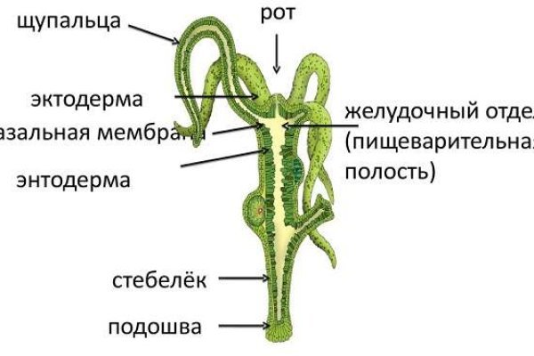 Кракен са