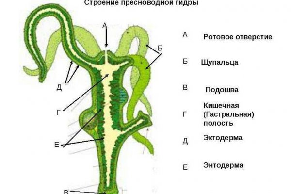 Кракен даркнет в тор