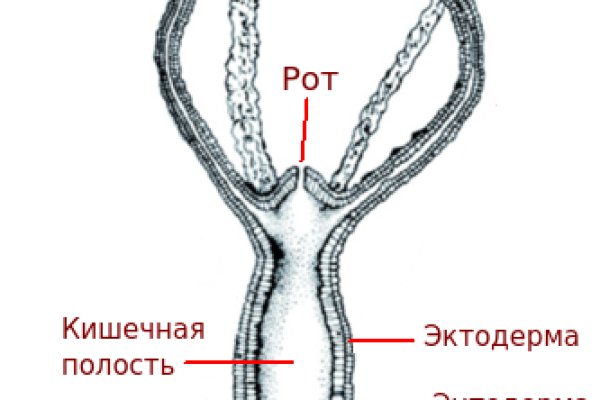 Кракен торговая