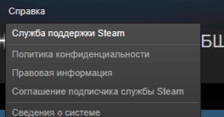 Cara menghubungi dukungan teknis Steam dengan benar Dukungan teknis Steam dalam bahasa Rusia